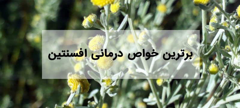 خواص افسنتین
