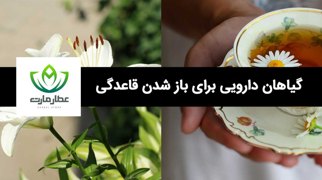 بازکننده سریع قاعدگی با گیاهان قاعده آور