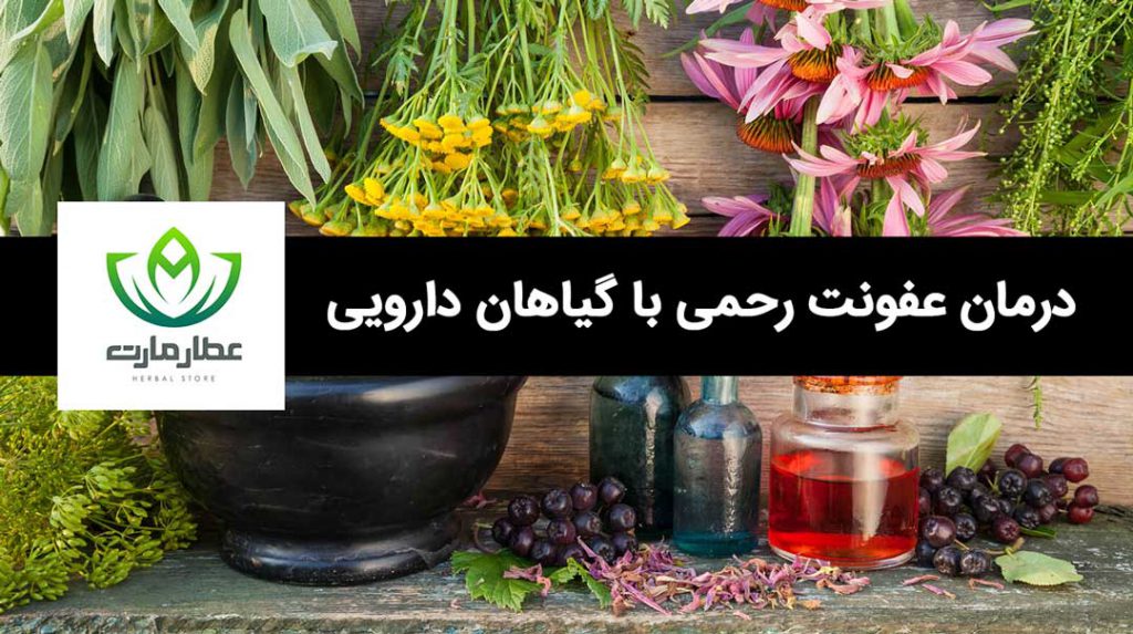 درمان عفونت رحمی با گیاهان دارویی