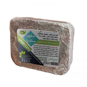 صابون سنگ پا جلبک کافه سبز