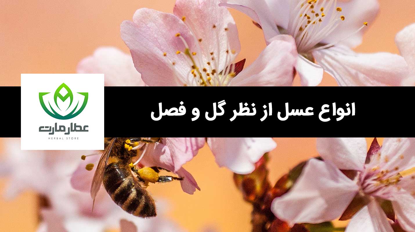 انواع عسل را می توان بر اساس گل و فصل تقسیم بندی نمود.