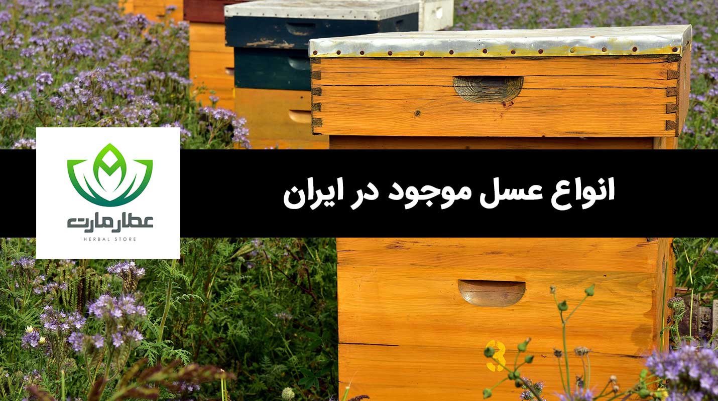 در این بخش به انواع عسل موجود در کشور ایران پرداخته ایم