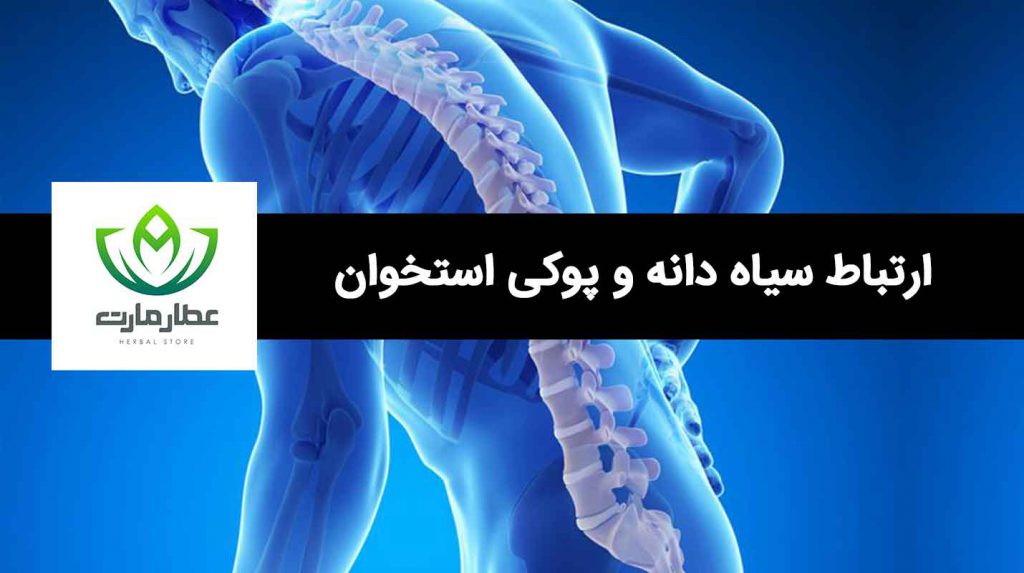 ارتباط مصرف سیاه دانه و پوکی استخوان