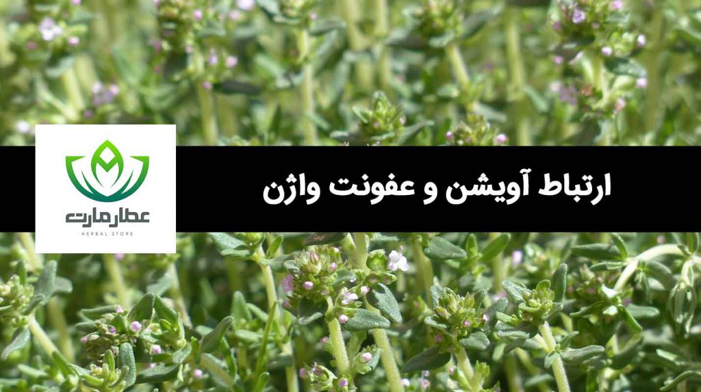 آویشن و عفونت واژن