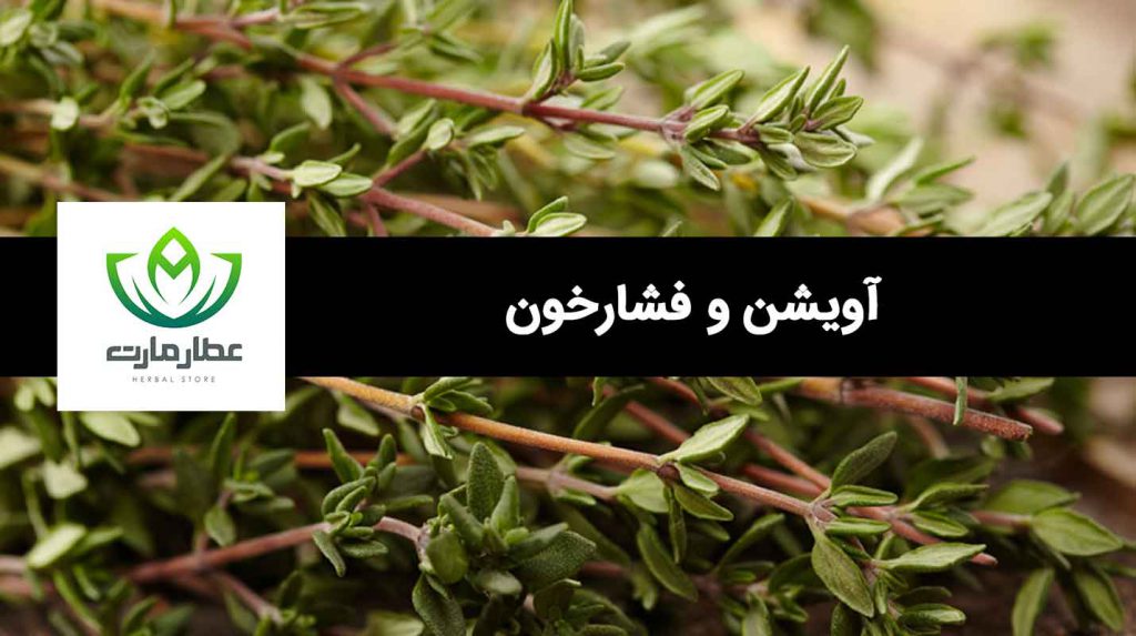 ارتباط آویشن و فشارخون چیست؟