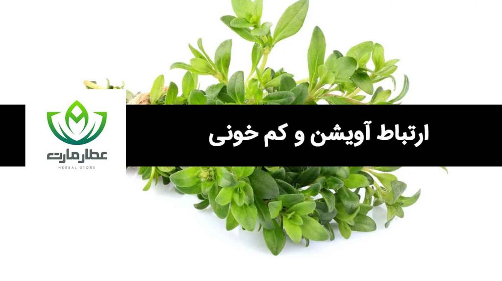 آویشن و کم خونی