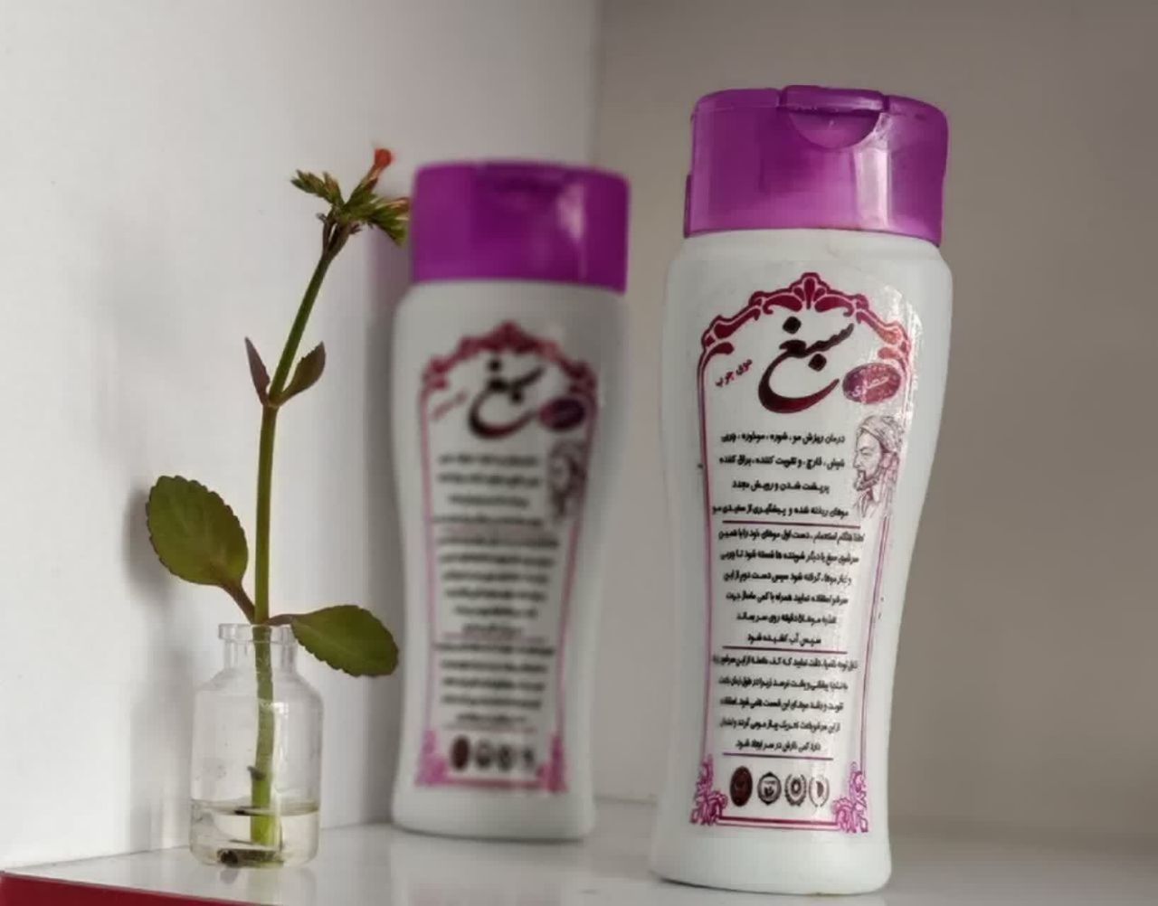 شامپو سبغ حصاری
