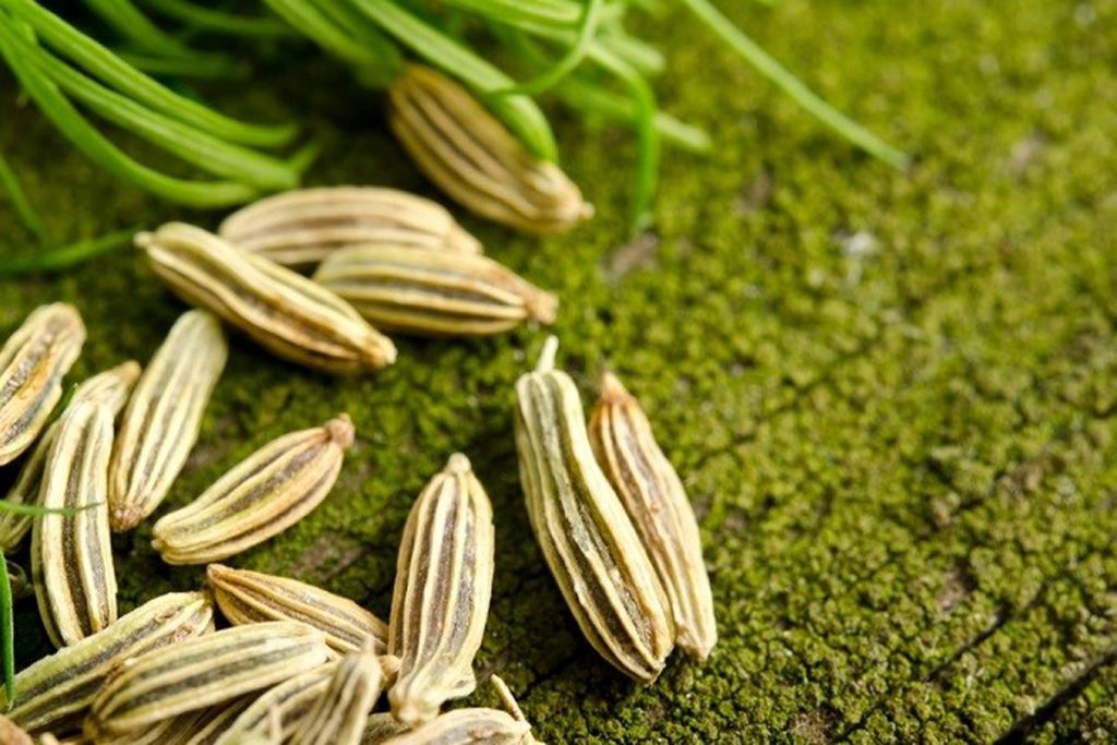 خواص رازیانه برای مردان
