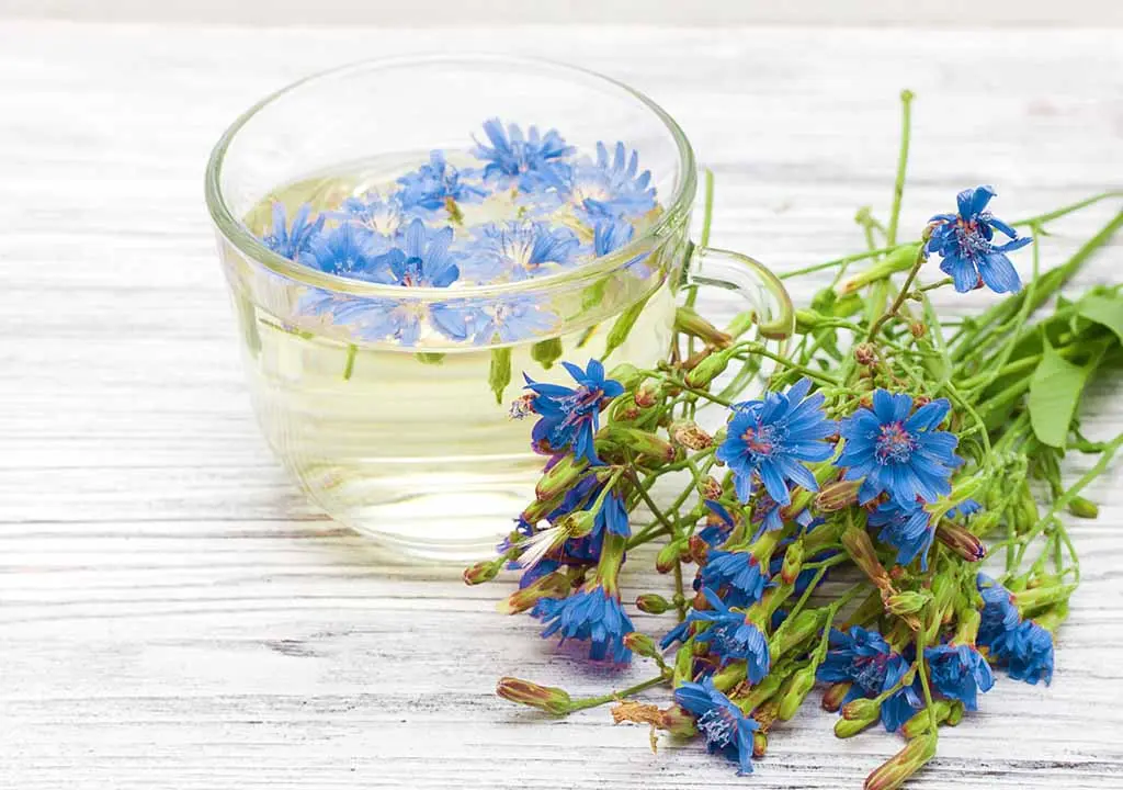 بهترین زمان برای مصرف عرق کاسنی و شاتره
